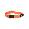 Rogz Classic Large Dog Collar Orange***-Habitat Pet Supplies