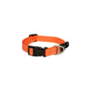 Rogz Classic Medium Dog Collar Orange***-Habitat Pet Supplies