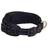 Rogz Classic Padded Dog Collar Black Large***-Habitat Pet Supplies