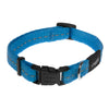 Rogz Classic Small Dog Collar Turquoise (+_+)-Habitat Pet Supplies