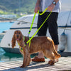 Rogz Control Dog Harness Pink Small
