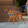 Rogz Control Stop Pull Dog Harness Black Extra Large :->>