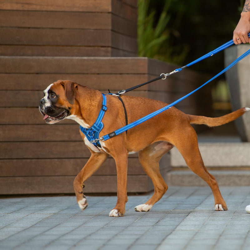 Rogz Control Stop Pull Dog Harness Blue Medium