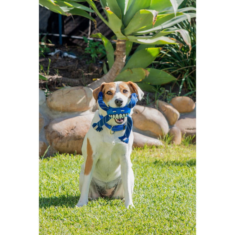 ROGZ FLOSSY GRINZ LIME MEDIUM - Habitat Pet Supplies Altona & Chirnside Park