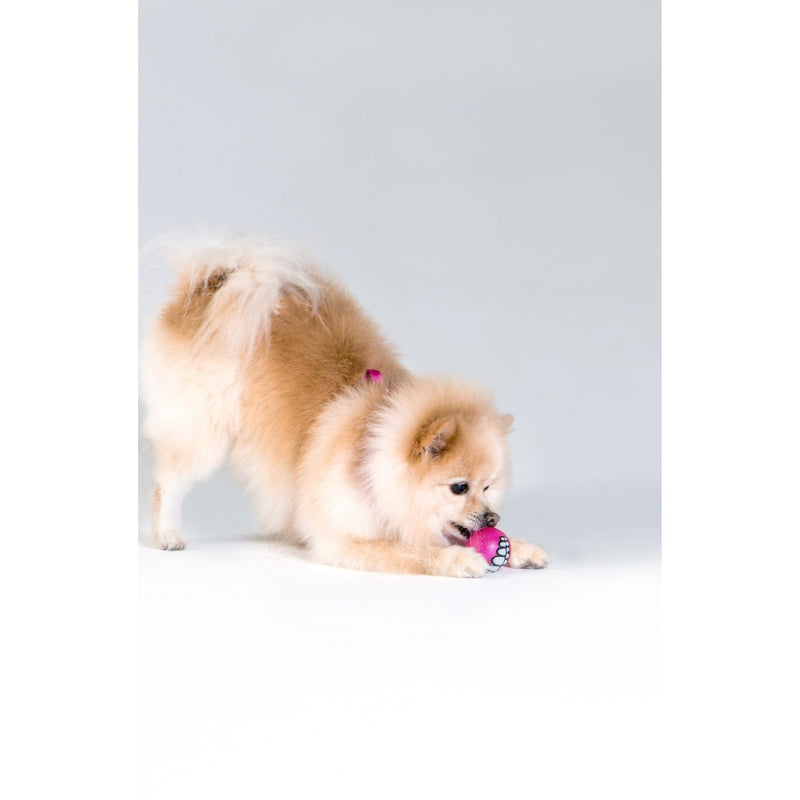 ROGZ GRINZ BALL PINK MEDIUM - Habitat Pet Supplies Altona & Chirnside Park