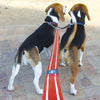 Rogz Specialty Extra Large Dog Lead Splitter Red (+_+)