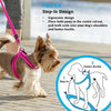 Rogz Specialty Fast Fit Extra Small Dog Harness Blue