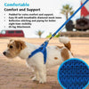 Rogz Specialty Fast Fit Medium/Large Dog Harness Blue