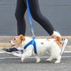 Rogz Specialty Fast Fit Small Dog Harness Black