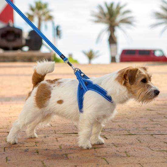 Rogz Specialty Fast Fit Small/Medium Dog Harness Blue