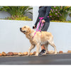 Rogz Specialty Handsfree Medium Dog Lead Pink