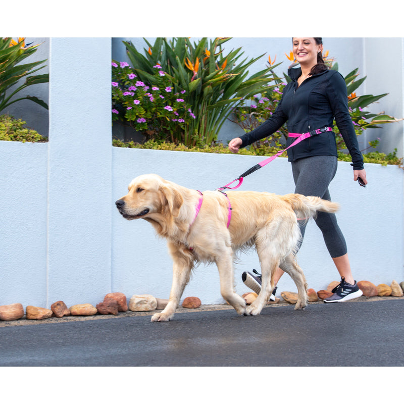 Rogz Specialty Handsfree Medium Dog Lead Pink (+_+)