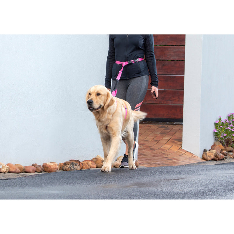 Rogz Specialty Handsfree Medium Dog Lead Pink (+_+)