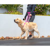 Rogz Specialty Handsfree Medium Dog Lead Pink (+_+)