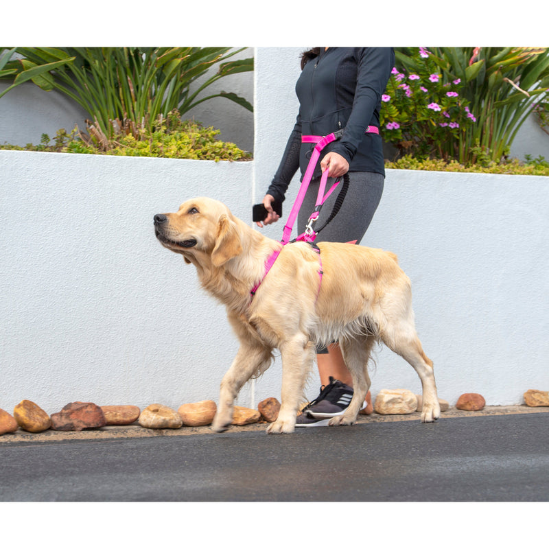 Rogz Specialty Handsfree Medium Dog Lead Pink (+_+)
