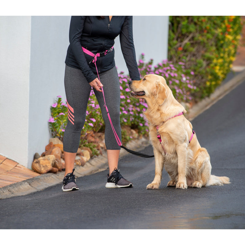 Rogz Specialty Handsfree Medium Dog Lead Pink (+_+)