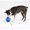 ROGZ TUMBLER BLUE - Habitat Pet Supplies Altona & Chirnside Park