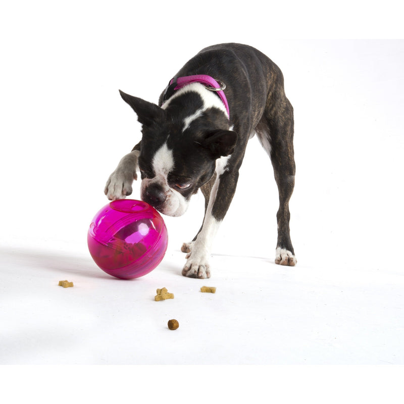 ROGZ TUMBLER PINK - Habitat Pet Supplies Altona & Chirnside Park