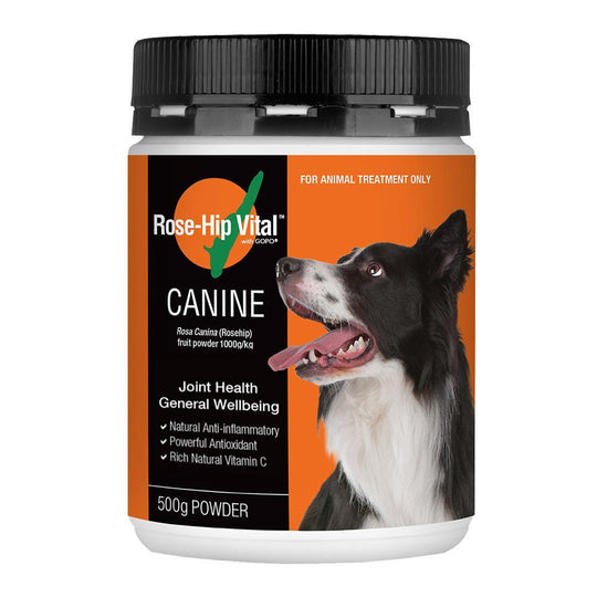 Rose-Hip Vital Canine Joint Health Powder 500G