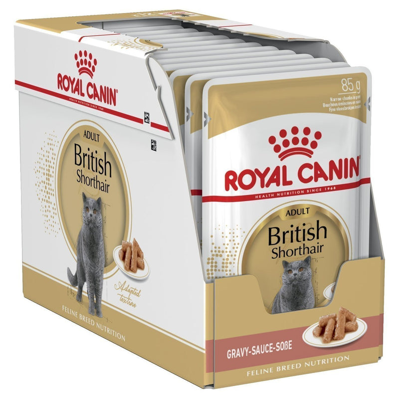 Royal Canin Cat British Shorthair Adult Wet Food Pouches 85g x 12-Habitat Pet Supplies