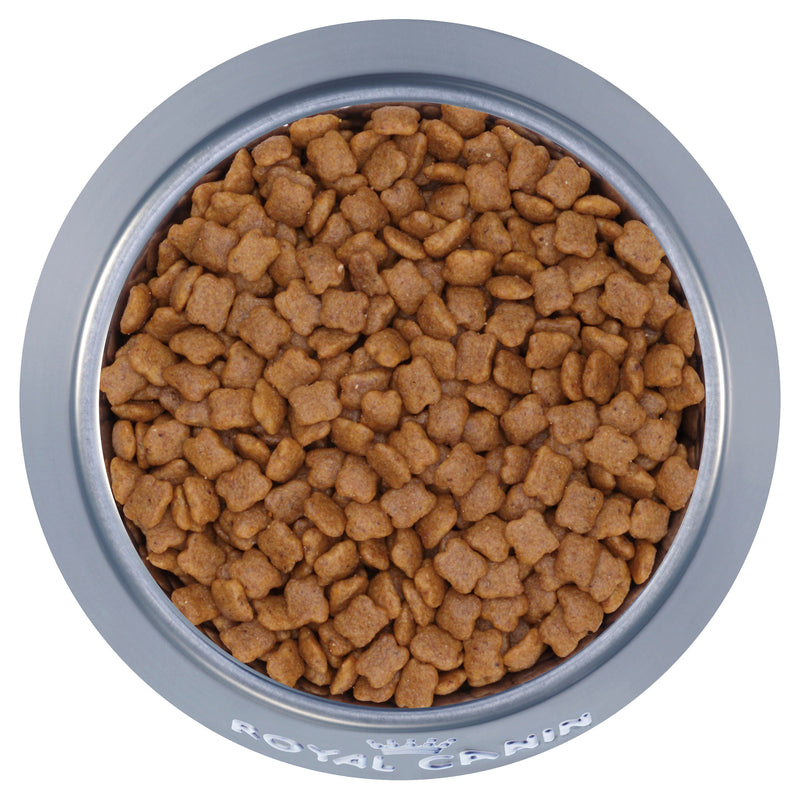 Royal Canin Cat Kitten Dry Food 10kg