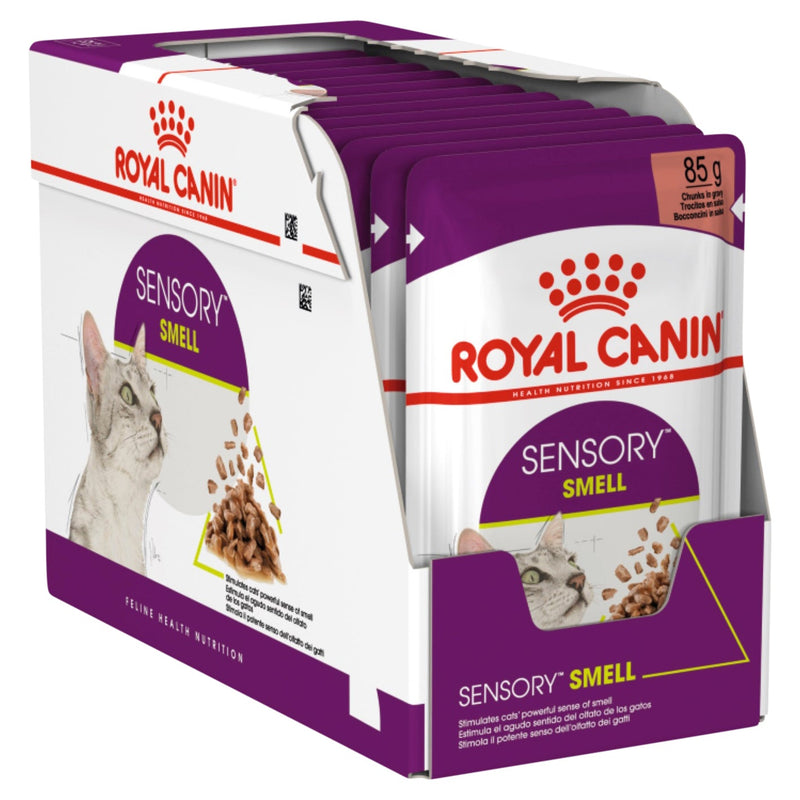 Royal Canin Cat Sensory Smell Gravy Adult Wet Food Pouches 85g x 12-Habitat Pet Supplies