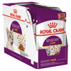 Royal Canin Cat Sensory Taste Gravy Adult Wet Food Pouches 85g x 12-Habitat Pet Supplies