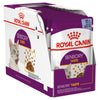 Royal Canin Cat Sensory Taste Jelly Adult Wet Food Pouches 85g x 12-Habitat Pet Supplies