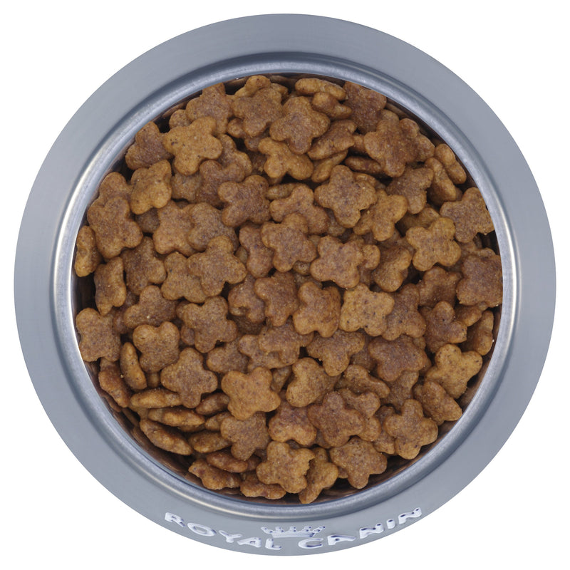 Royal Canin Dog Mini Adult Dry Food 4kg