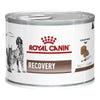 Royal Canin Veterinary Diet Dog and Cat Recovery Wet Food 195g x 12-Habitat Pet Supplies