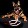 Safeglow Ultra Bright Reflective Dog Lead 1.2m***-Habitat Pet Supplies