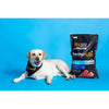 SavourLife Grain Free Dry Dog Food Salmon 2.5kg