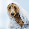 Serotoninkc Nude Ultra Sensitive Conditioner for Dogs 500ml*