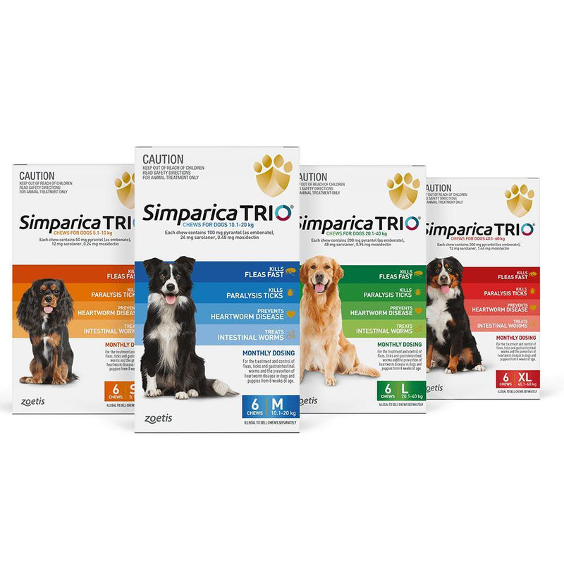 Simparica Trio Flea Tick and Worming Chews for Medium Dogs Blue 6 Pack