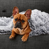 Snooza Calming Cuddler Silver Fox Pet Blanket Large