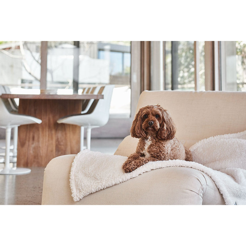 Snooza Calming Woolly Pet Blanket Small