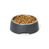Snooza Concrete and Stainless Steel Charcoal Dog Bowl Medium