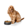 Snooza Concrete and Stainless Steel Charcoal Dog Bowl Medium