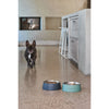 Snooza Concrete and Stainless Steel Charcoal Dog Bowl Medium