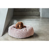 Snooza Cuddler Soothing & Calming Bliss Dog Bed Extra Large-Habitat Pet Supplies