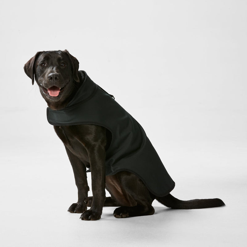 Snooza Dog Apparel All Weather Jacket Black Large