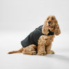 Snooza Dog Apparel All Weather Jacket Black Large