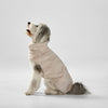 Snooza Dog Apparel Faux Fur Jacket Latte Large