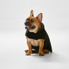 Snooza Dog Apparel Reversible Jacket Teddy Black Extra Large