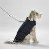 Snooza Dog Apparel Sport Puffer Jacket Black Extra Large
