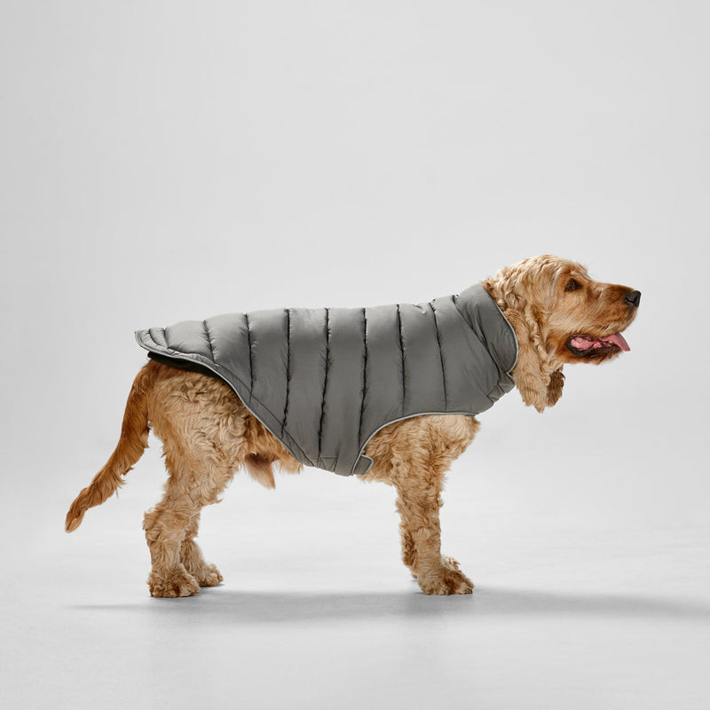 Snooza Dog Apparel Sport Puffer Jacket Graphite Small