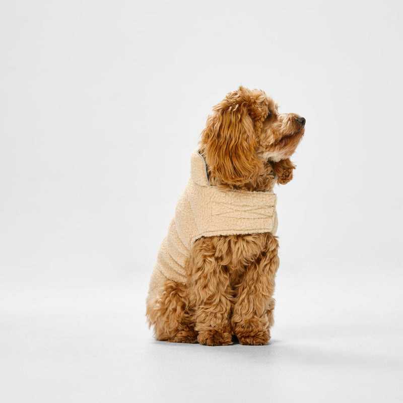 Snooza Dog Apparel Teddy Puffer Jacket Caramel Large