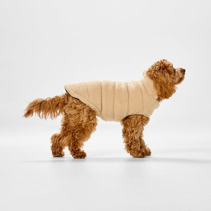 Snooza Dog Apparel Teddy Puffer Jacket Caramel Medium