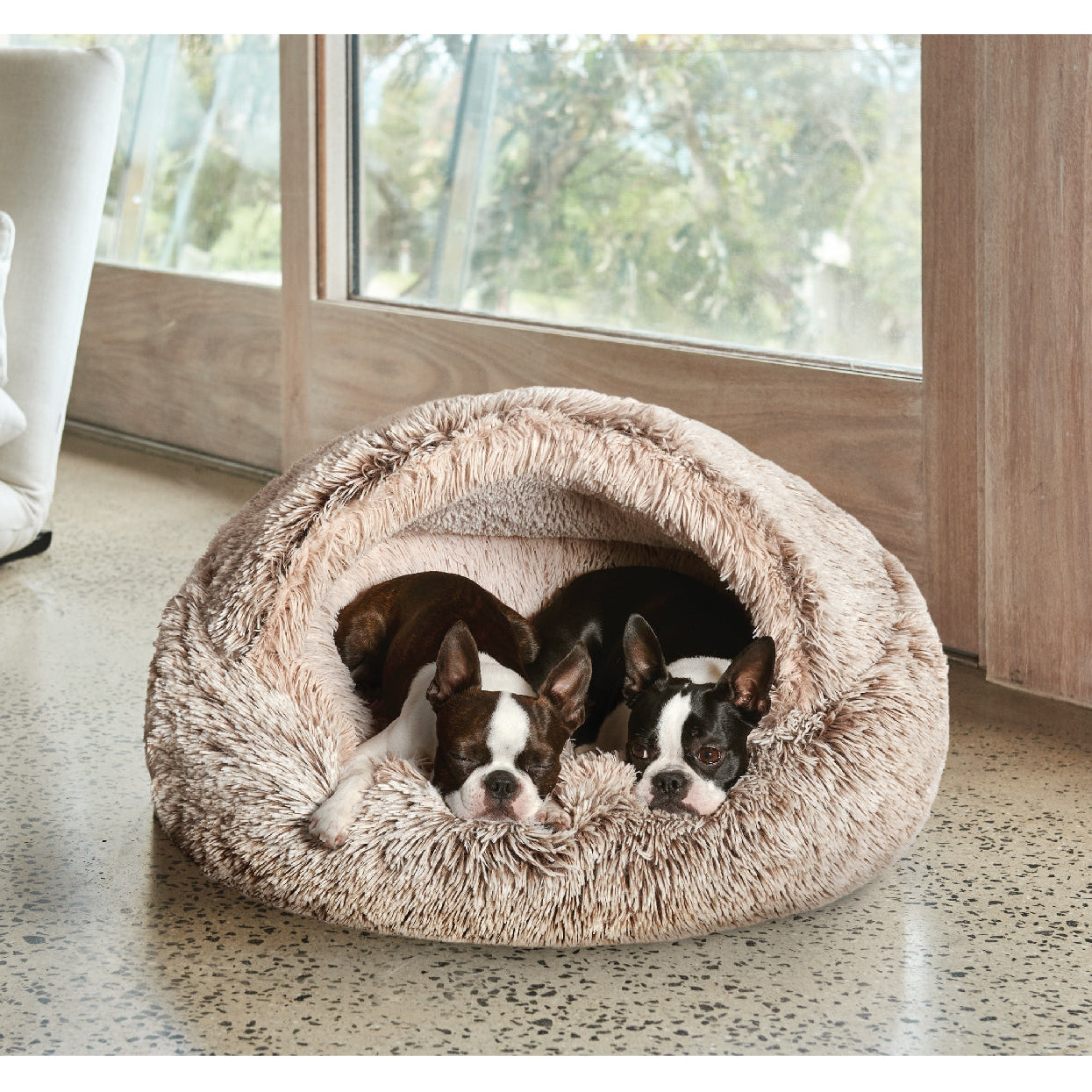 Bed for anxious dog sale