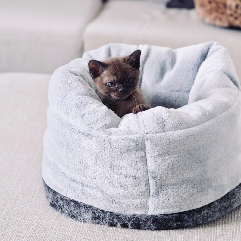 Snooza The Cat Bed Chinchilla ^._.^